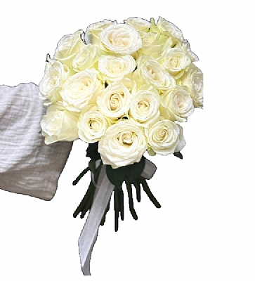 Beyaz Saflk Gelin Eli