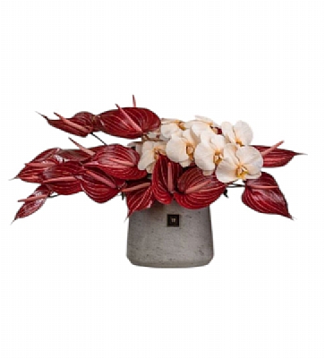 Modern Dokunu Orkide ve Anthurium Aranjman